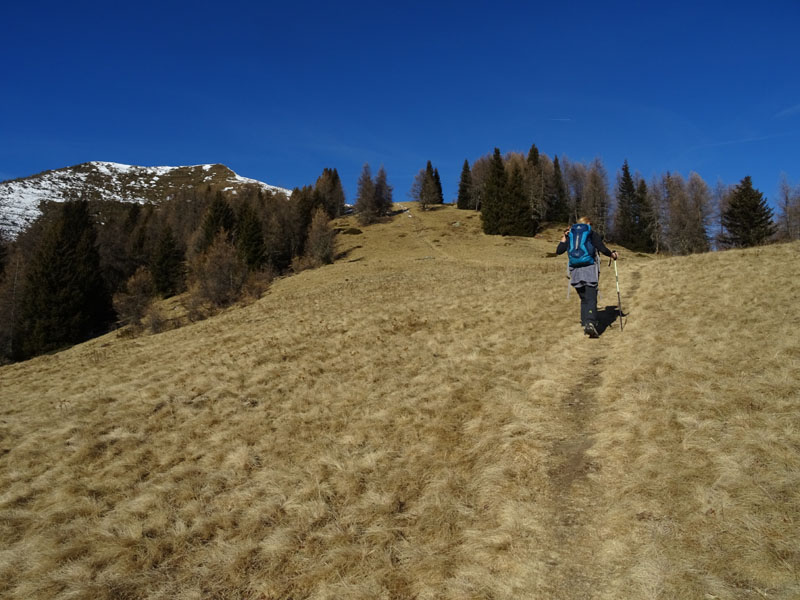 Cimon di Bolentina m. 2287 - Piz di Montes m. 2368